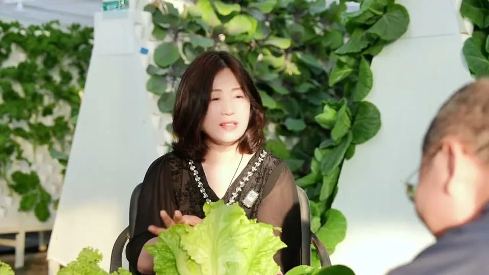 Scène de l’entretien montrant une personne tenant des légumes-feuilles devant des panneaux de culture.
