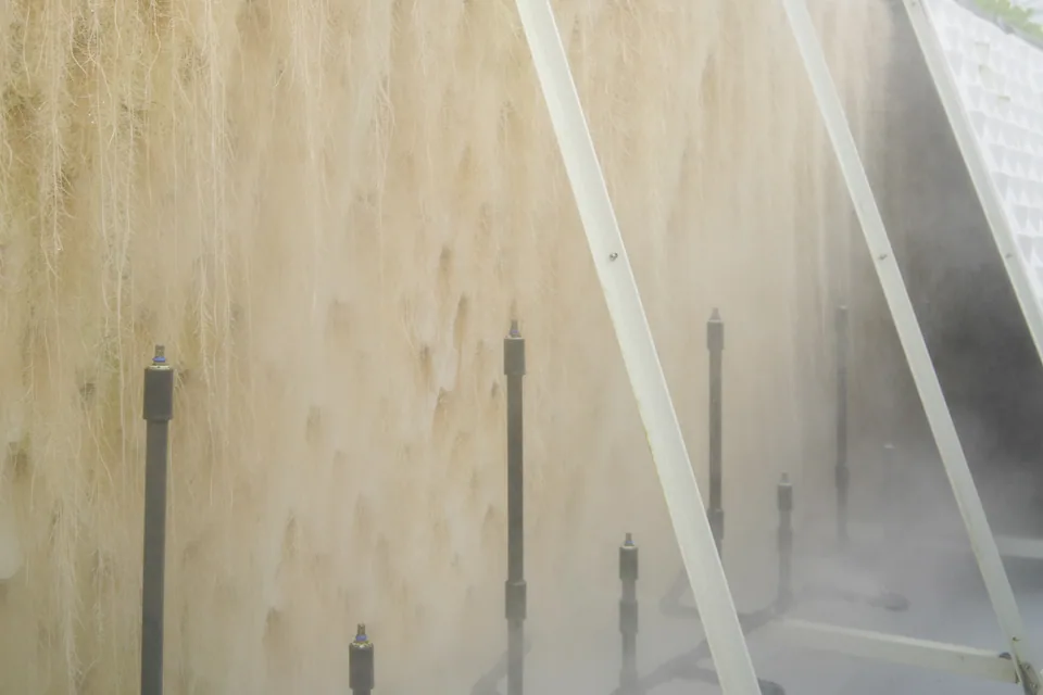 Vue de la brume nutritive ultrafine traitée autour des racines suspendues et des buses de brumisation internes derrière un panneau de culture.